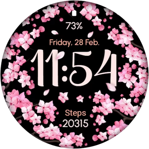 AR02 watch face