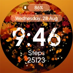 ReS46 watch face